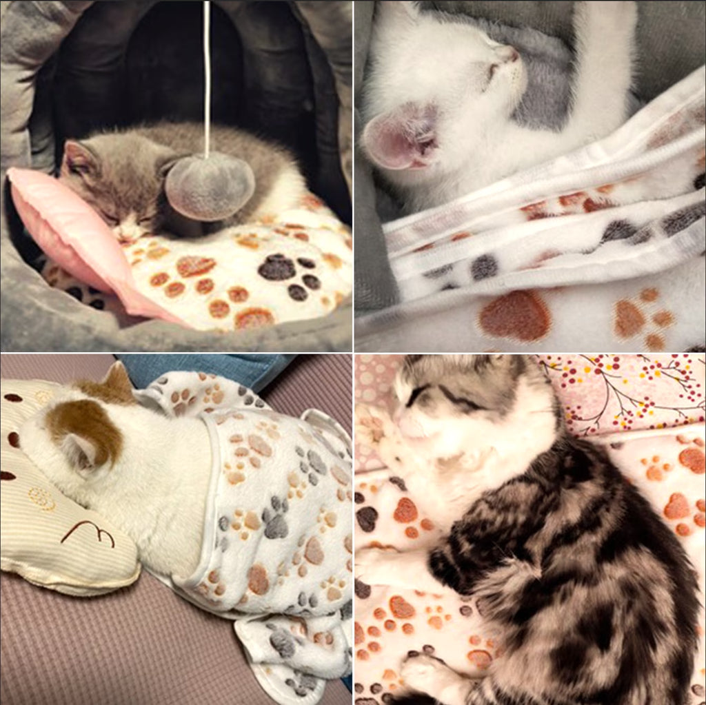 3-Pack Coral Velvet Pet Blankets