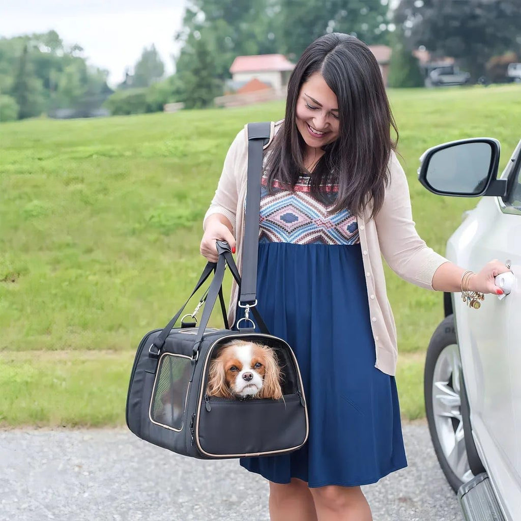 Commuter Pet Carrier and Car Seat