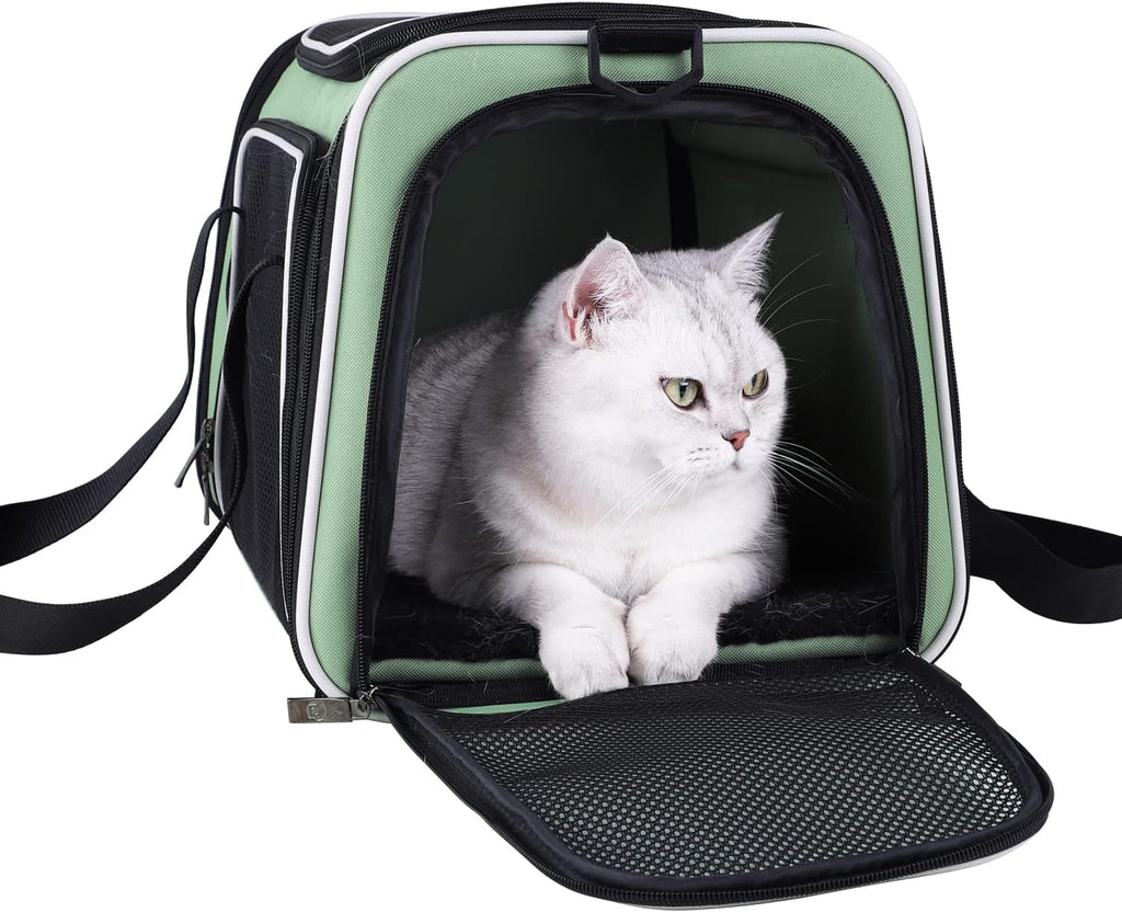 Top-Load Pet Carrier with Cozy Bed