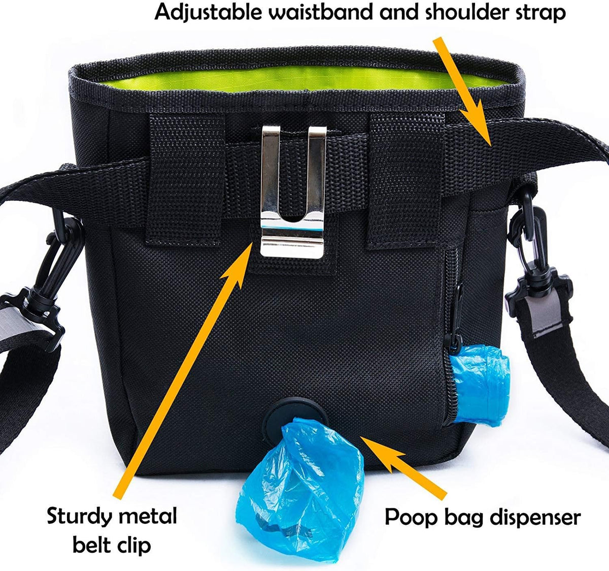 Pet Training and Walking Bundle