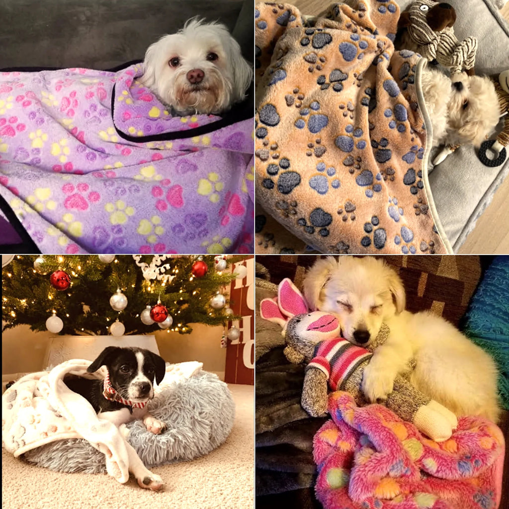 3-Pack Coral Velvet Pet Blankets