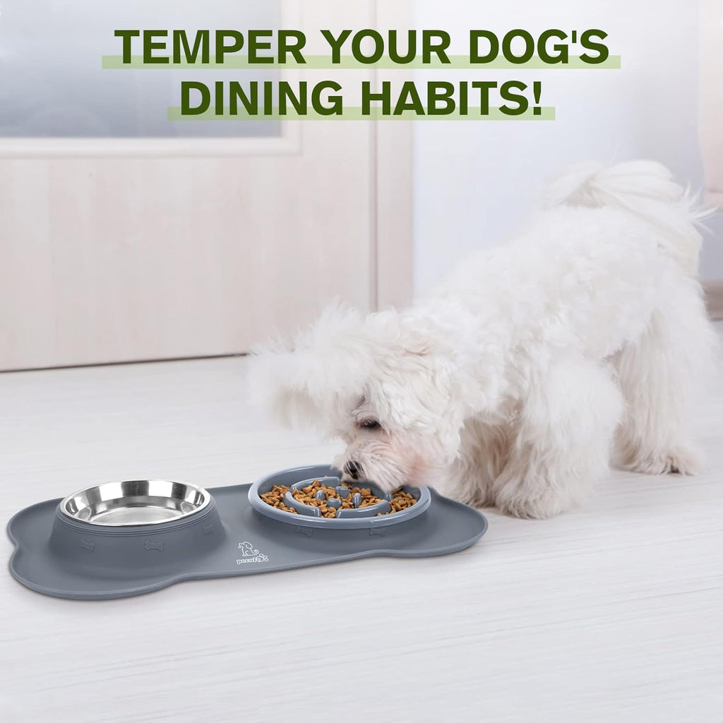 3-in-1 Slow Feeder Pet Bowl Bundle