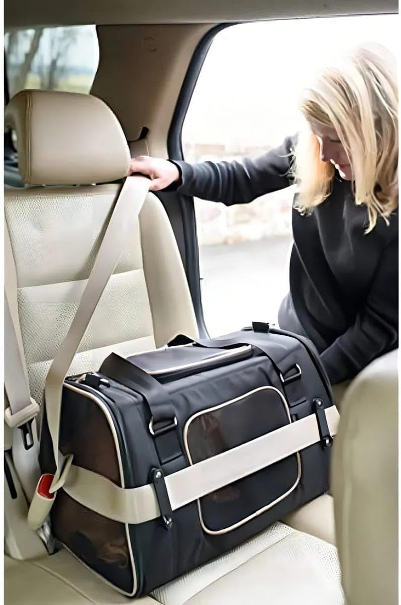 Commuter Pet Carrier and Car Seat