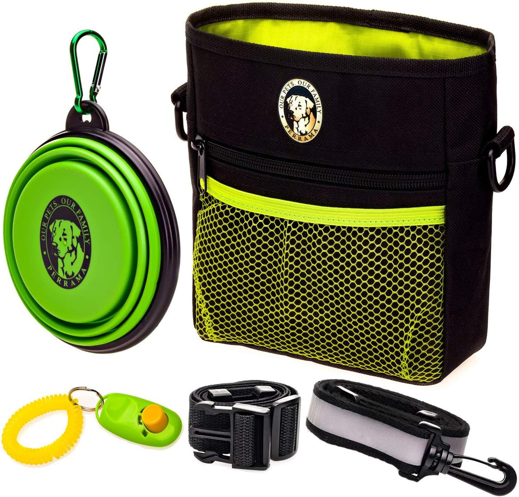 Pet Training and Walking Bundle