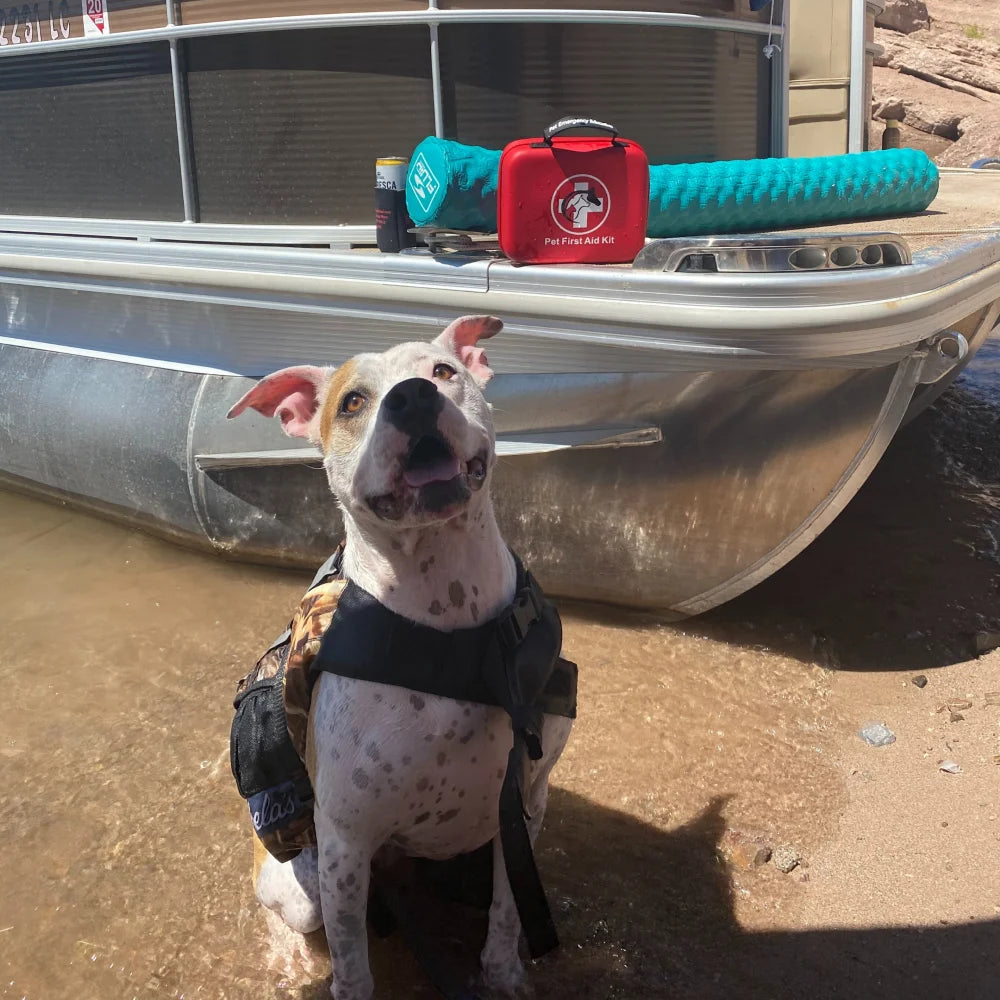 Deluxe Pet First Aid Bundle