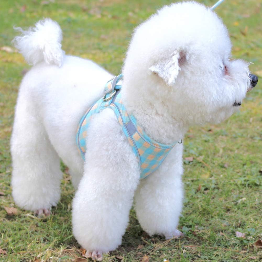 XS Pet Harness and Leash Bundle