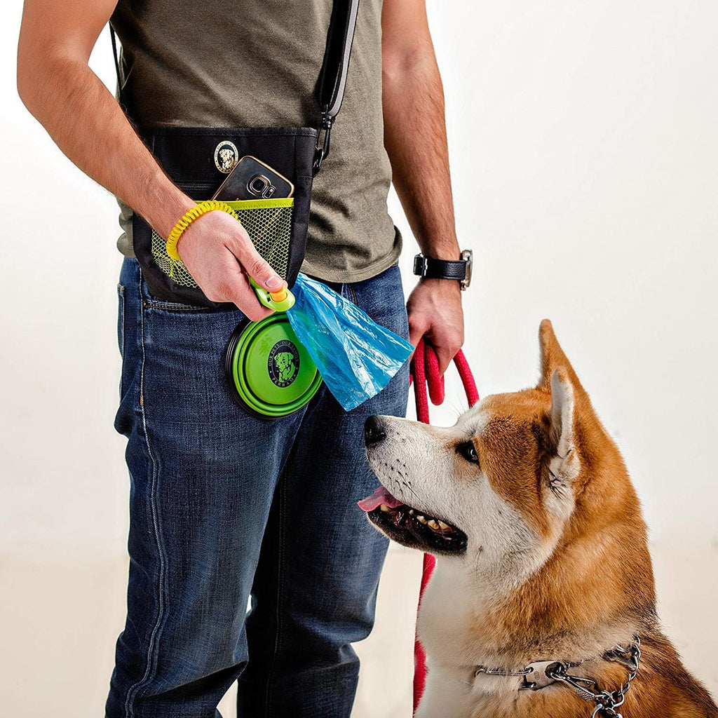 Pet Training and Walking Bundle