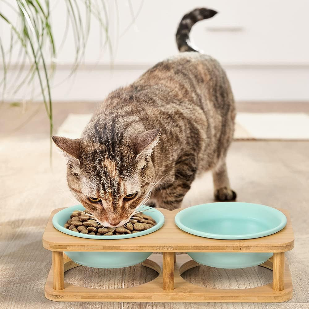 Elevated Ceramic Pet Bowl Bundle