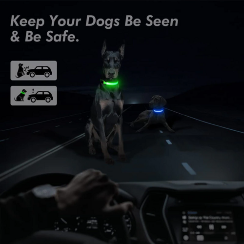 LED Adjustable Pet Safety Collar – Waterproof, 3 Light Modes