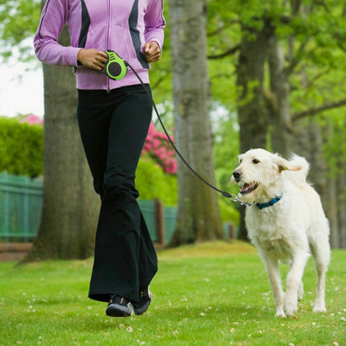16.5 ft Automatic Retractable Dog Leash – One-Touch Brake & Lock