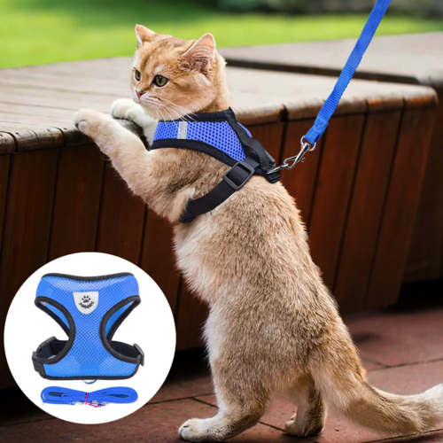Adjustable Reflective Pet Harness Vest with Leash – S/M/L/XL