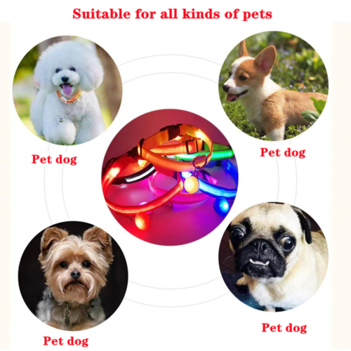 LED Adjustable Pet Safety Collar – Waterproof, 3 Light Modes