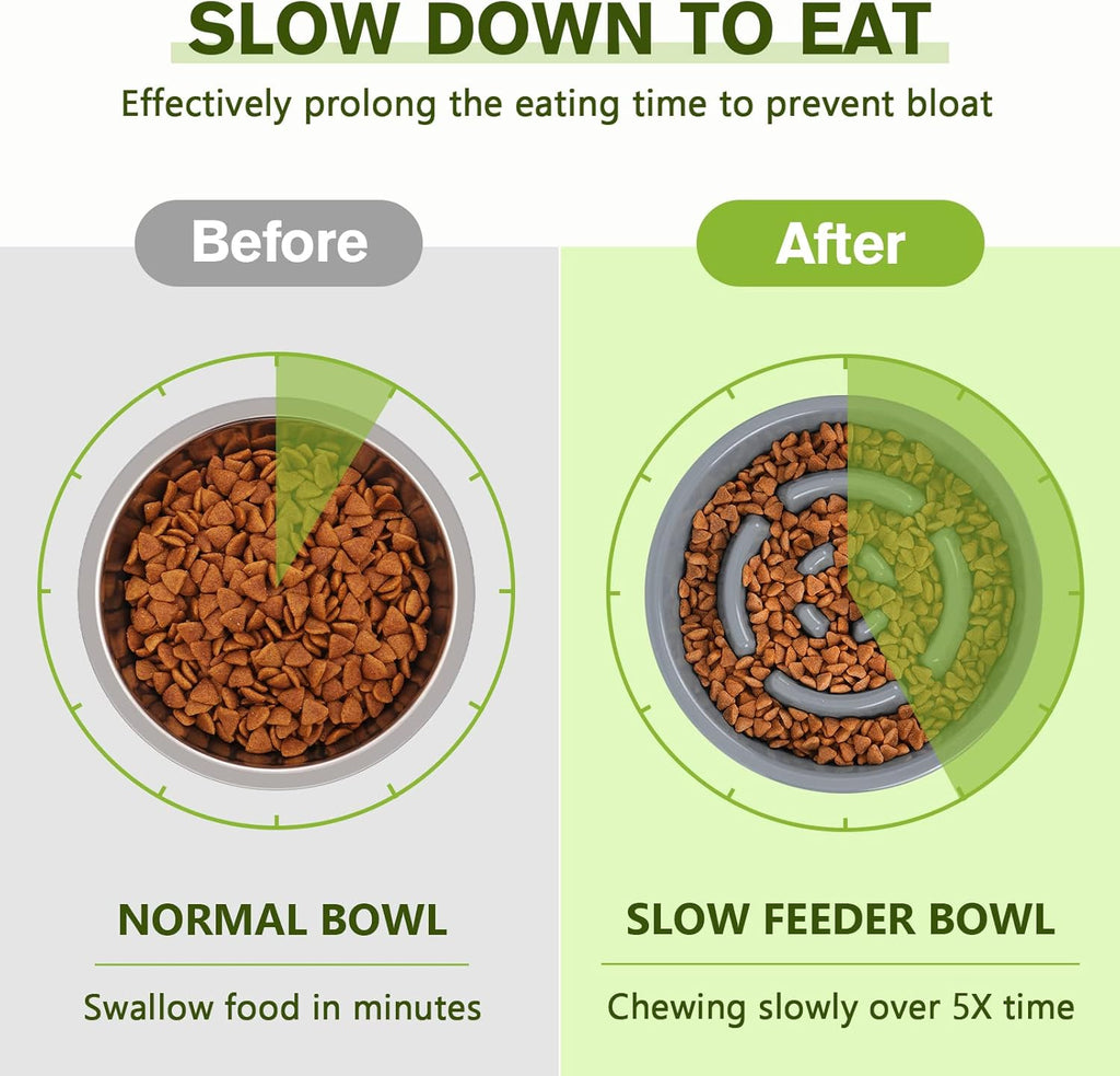 3-in-1 Slow Feeder Pet Bowl Bundle
