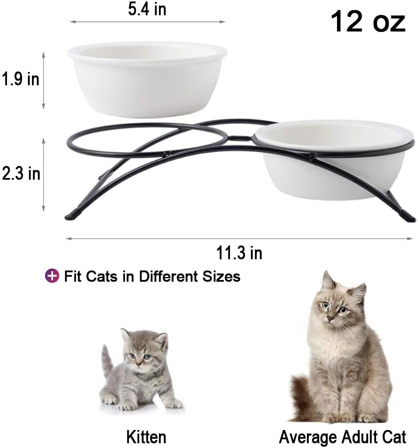 Elevated Ceramic Pet Bowl Bundle