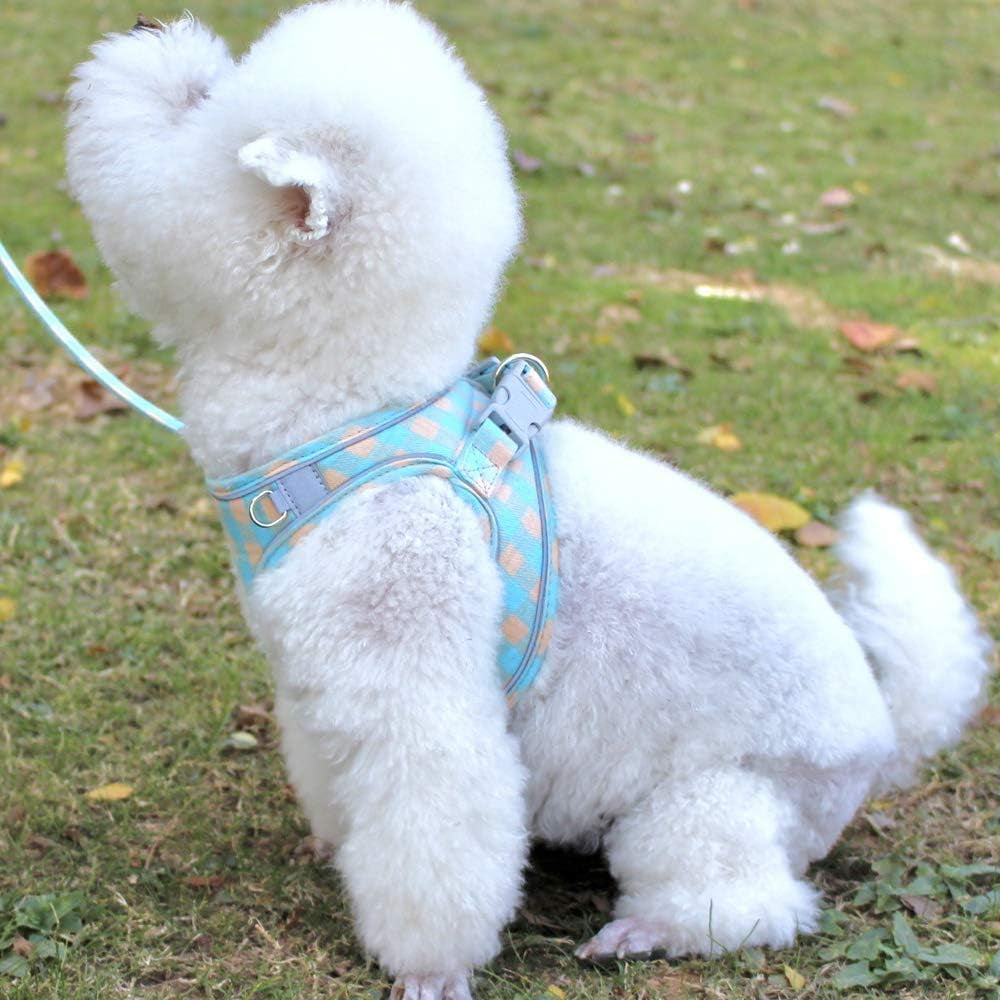 XS Pet Harness and Leash Bundle