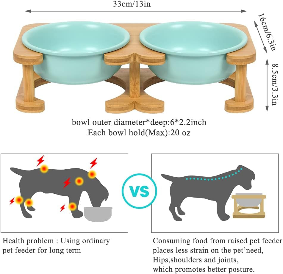 Elevated Ceramic Pet Bowl Bundle