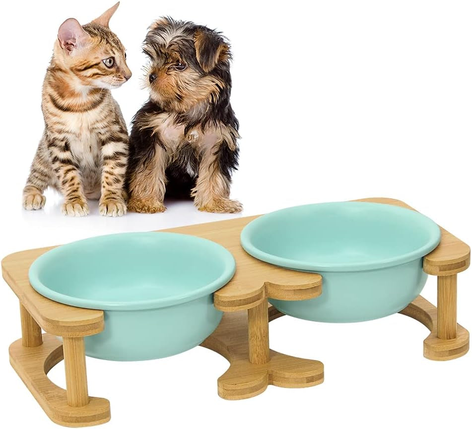 Elevated Ceramic Pet Bowl Bundle