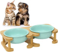 Elevated Ceramic Pet Bowl Bundle
