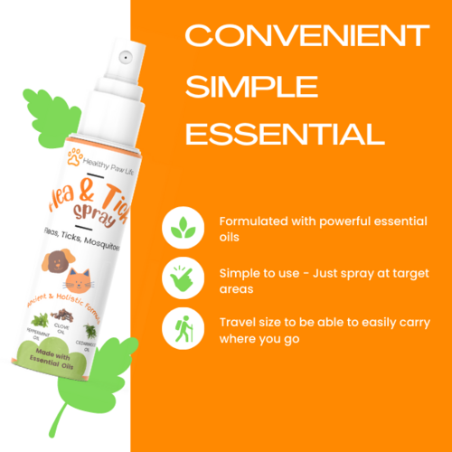 Flea & Tick Shampoo for Pets – Plant-Based, Essential Oil Formula