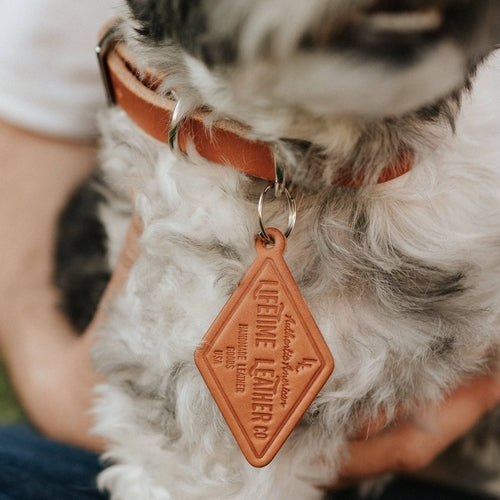 Leather Dog Collar – Classic & Designer, Handmade in the USA