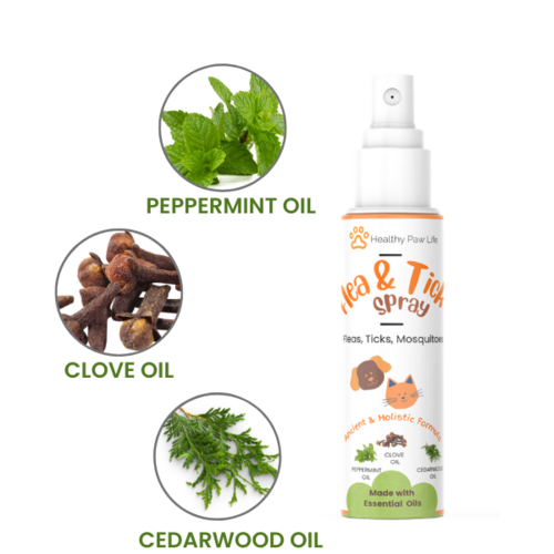 Flea & Tick Shampoo for Pets – Plant-Based, Essential Oil Formula