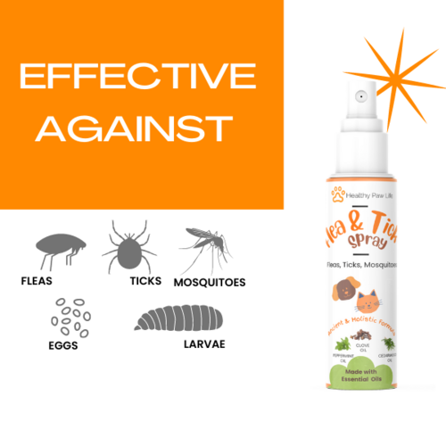 Flea & Tick Shampoo for Pets – Plant-Based, Essential Oil Formula