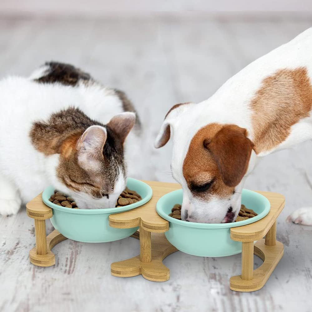 Elevated Ceramic Pet Bowl Bundle