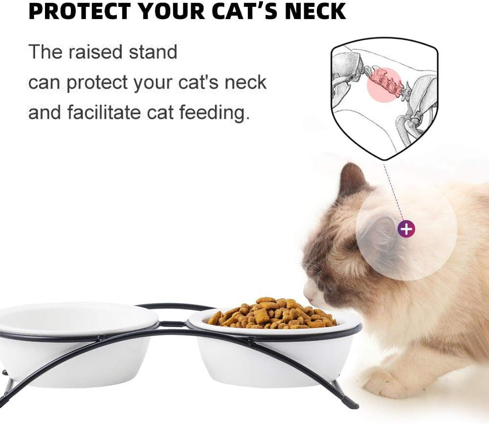 Elevated Ceramic Pet Bowl Bundle