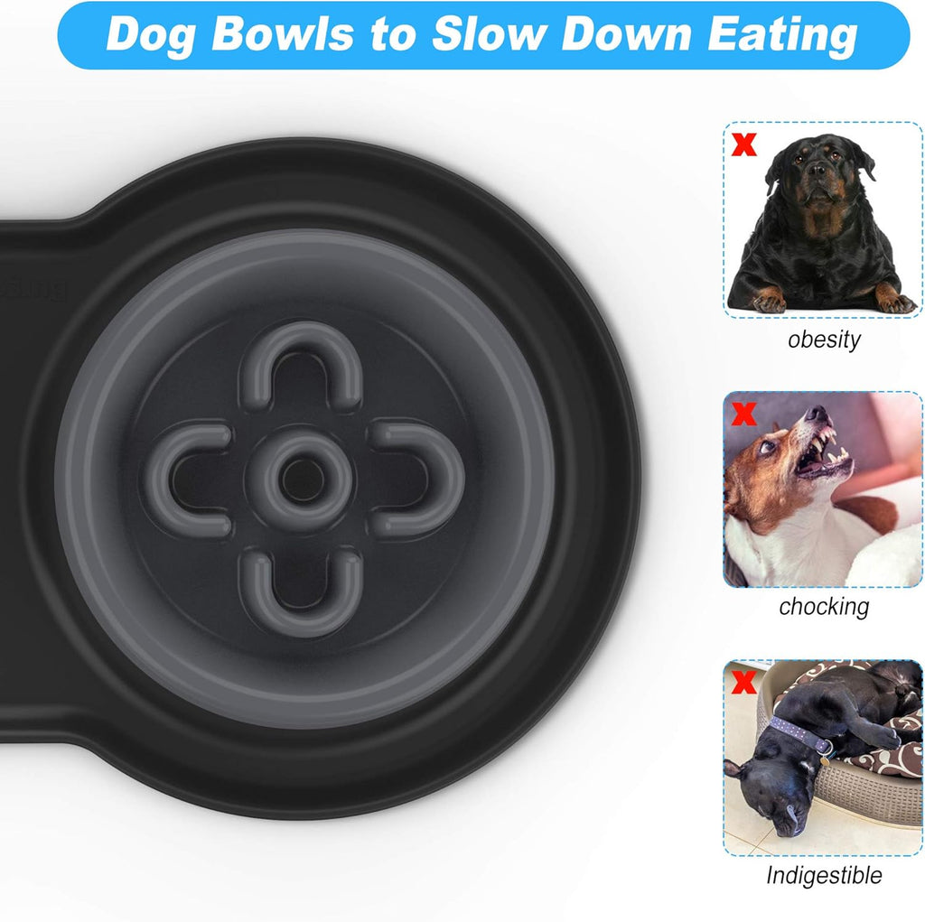 4-in-1 Slow Feeder Pet Bowl Bundle