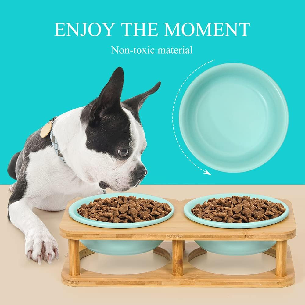 Elevated Ceramic Pet Bowl Bundle