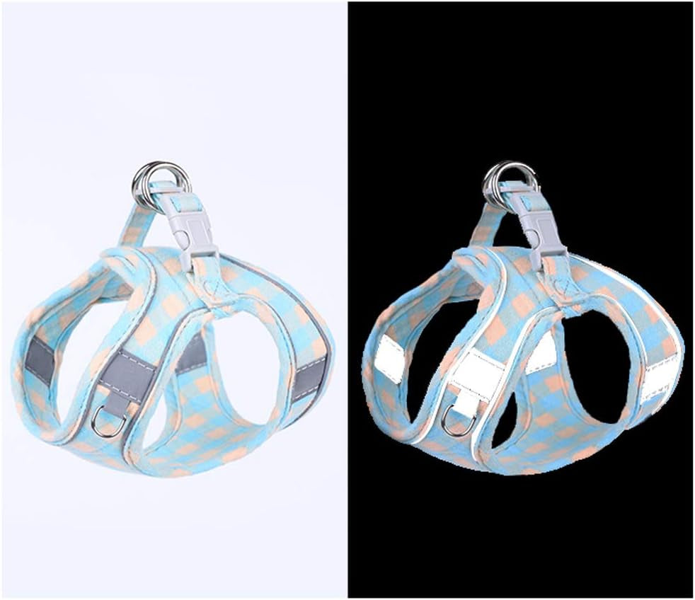 XS Pet Harness and Leash Bundle