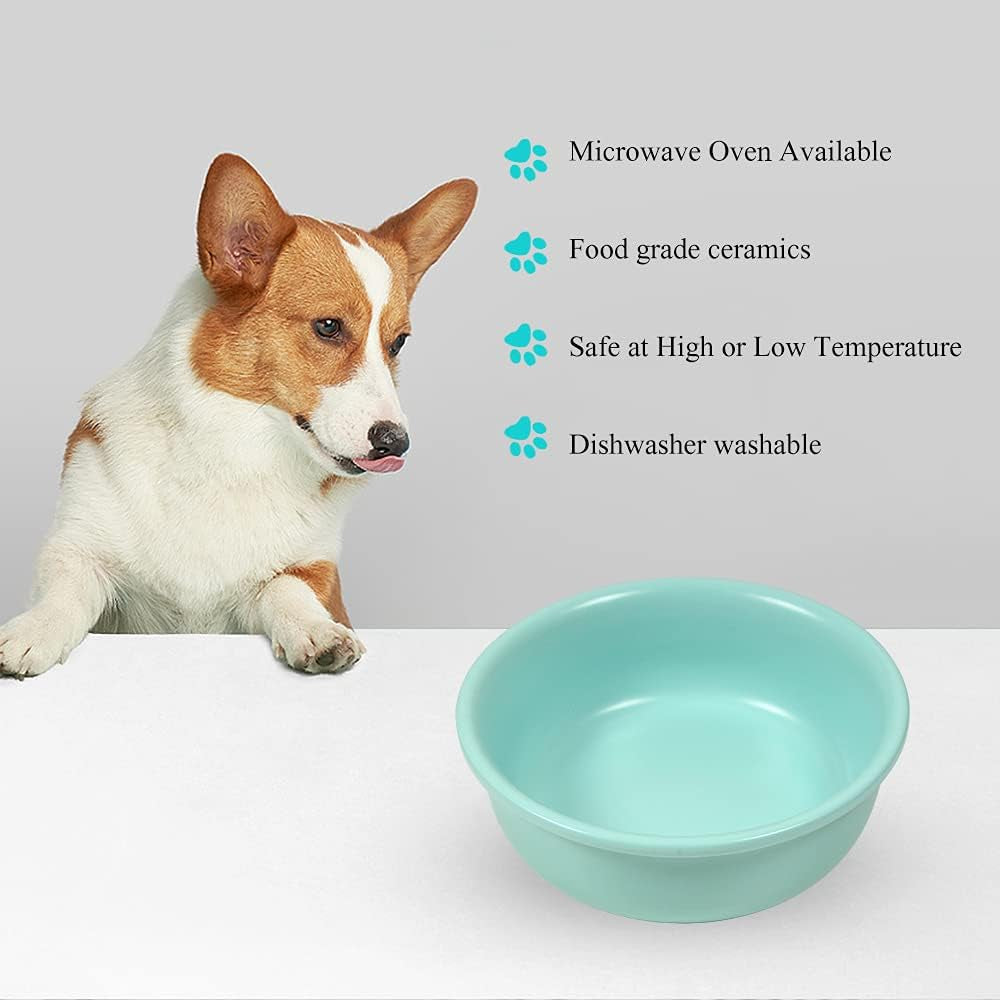 Elevated Ceramic Pet Bowl Bundle