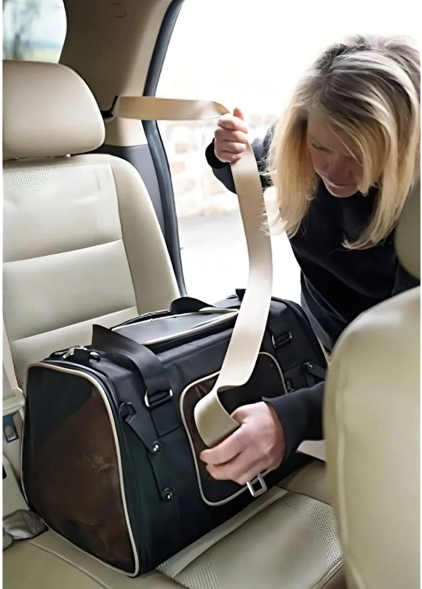 Commuter Pet Carrier and Car Seat