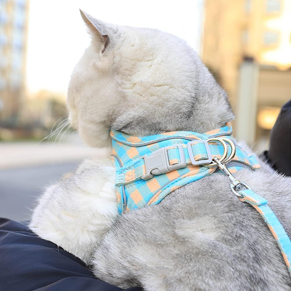 XS Pet Harness and Leash Bundle