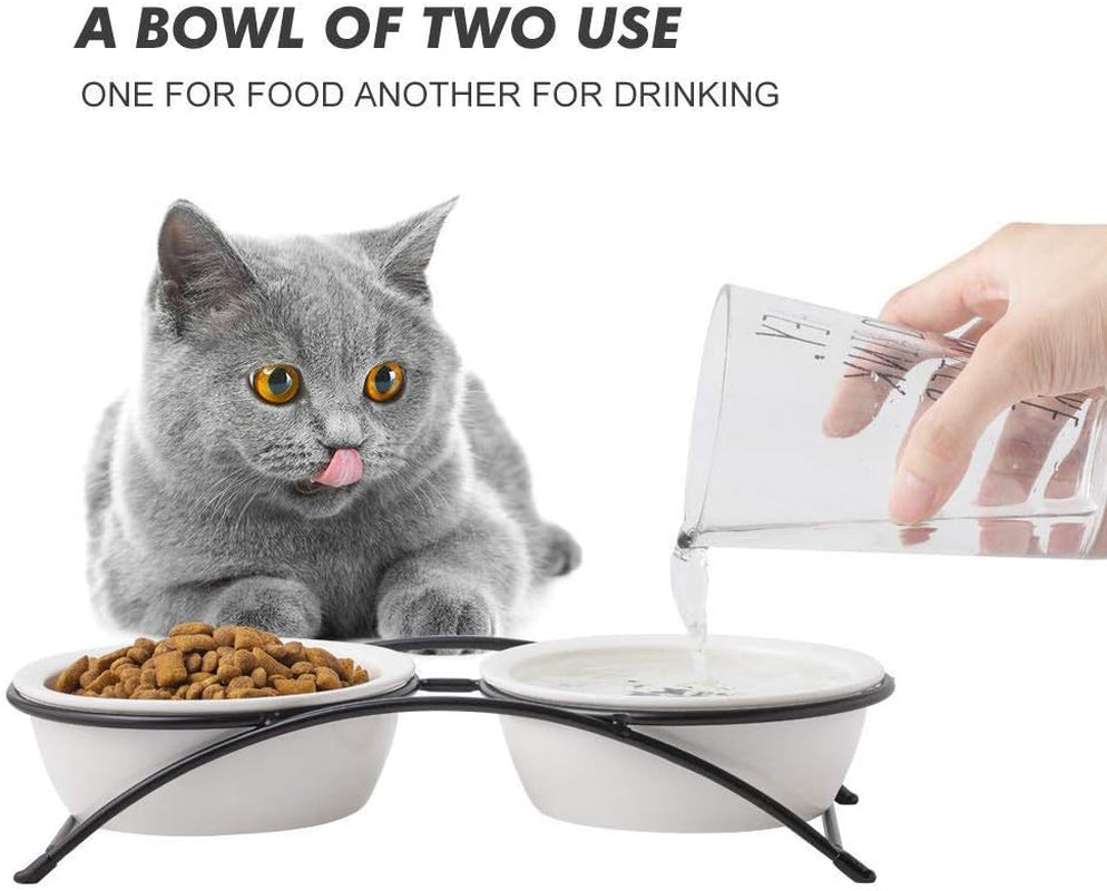Elevated Ceramic Pet Bowl Bundle