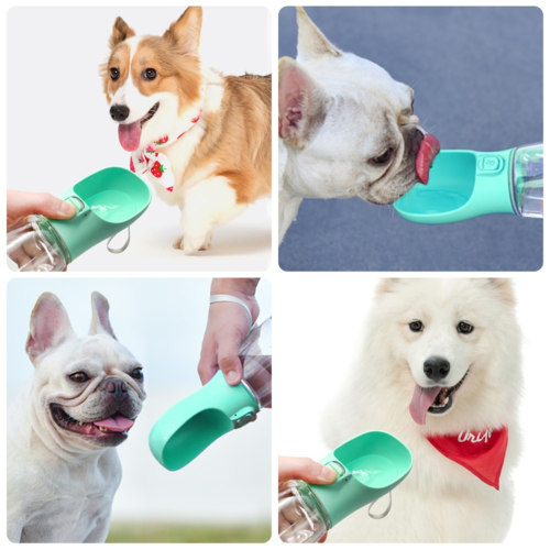Outdoor Dog Water Bottle Feeder – Portable Travel Dispenser for Walks & Hikes