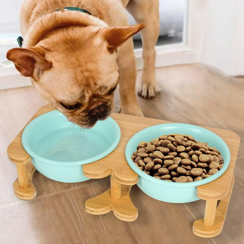 Elevated Ceramic Pet Bowl Bundle