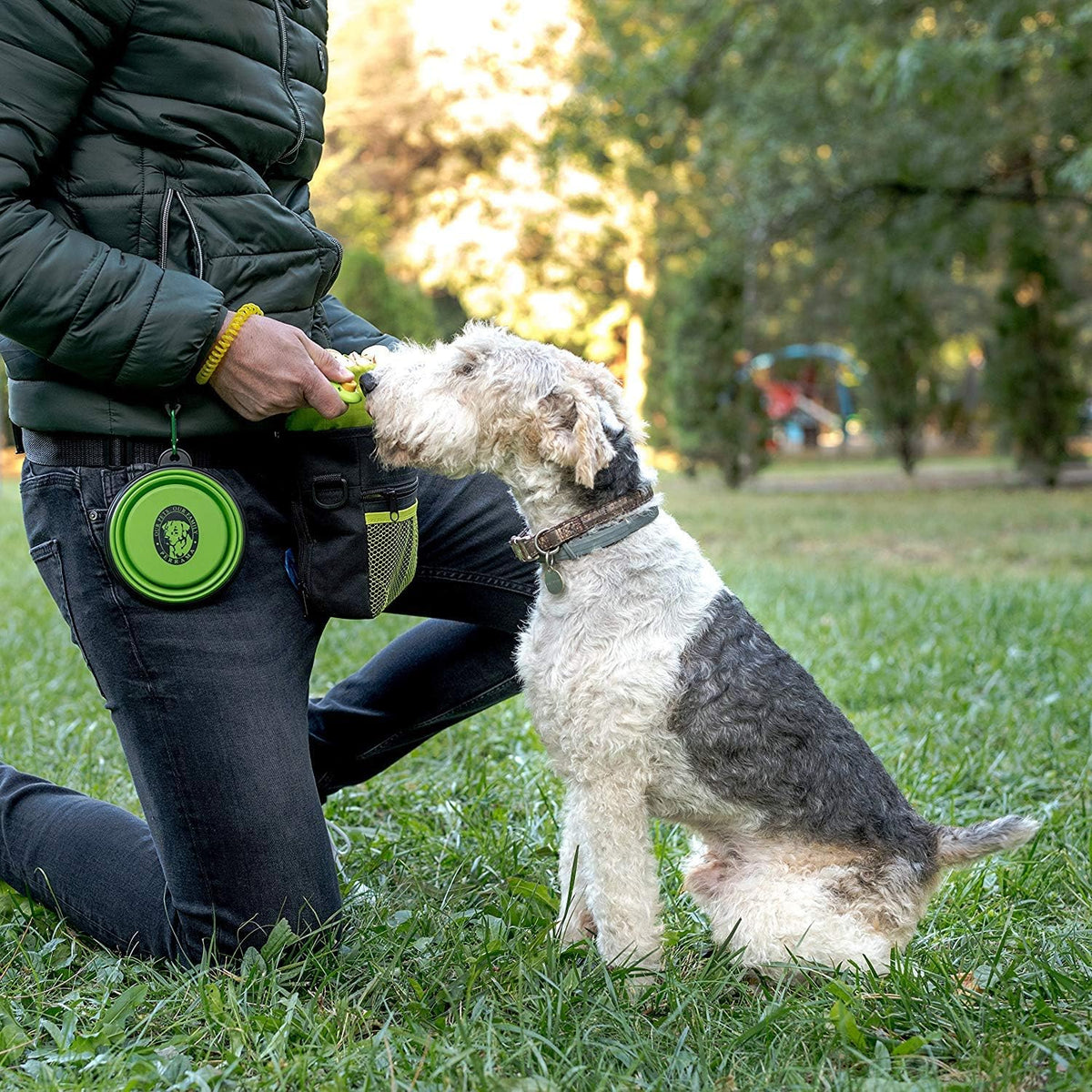 Pet Training and Walking Bundle