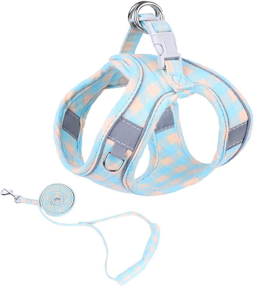 XS Pet Harness and Leash Bundle